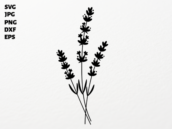 How Lavender SVG for Cricut Sublimation PN Elevates Modern Design and Crafting