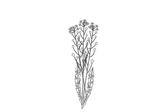 Line Art Wildflower: Clean Design for Versatile Creativity