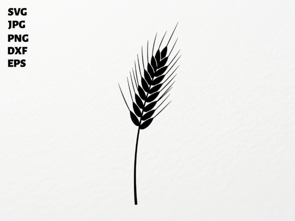 🌾 Wheat SVG for Cricut Sublimation PNG: A Rustic Design Essential